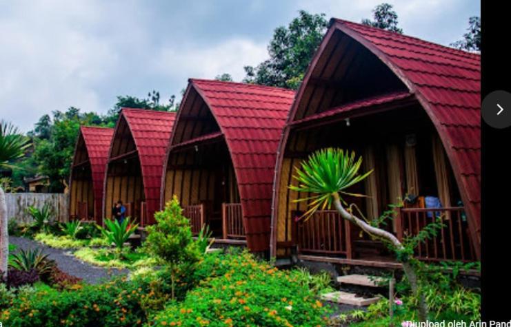 Kintamani Cabins Kültér fotó